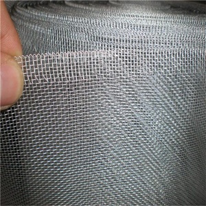 Pantalla de ventana electrogalvanizada retráctil china, rollo de red, pantalla de puerta DIY, mosquitera galvanizada con alambre de mosca - Product Image 2