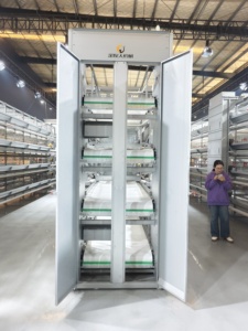 Cage à canards galvanisée à chaud avec <span class=keywords><strong>nid</strong></span> à œufs anti-salissures pour élevage commercial de canards - Product Image 6