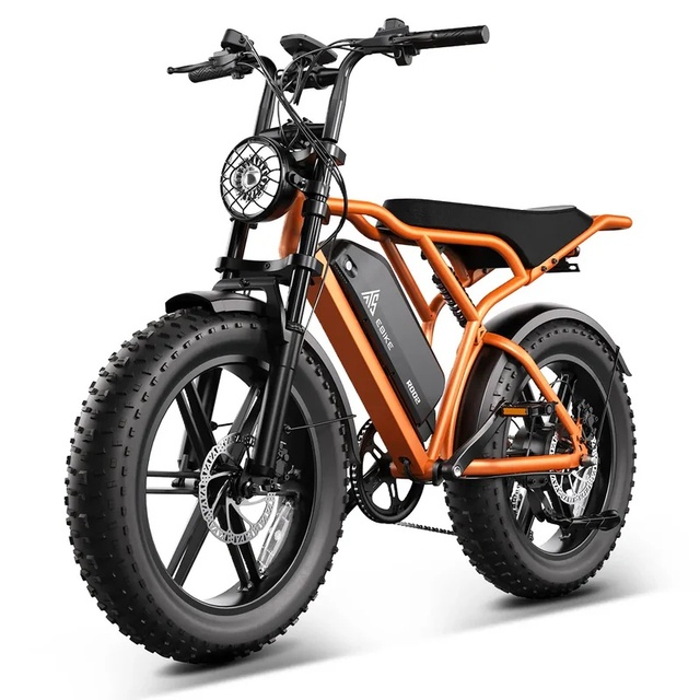 48V 15Ah 250W 25km/h E-bike 750W 20inch Fat Tire Ebike with Removable Battery Electric Bike EU Warehouse Adult Fatbike