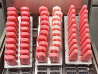 Ijslollymachine 60 Ijslollymachine Ijslollies Maker Ijslolly Maken Commerciële Hard Ijs Machine Voor Zakelijke Prijs