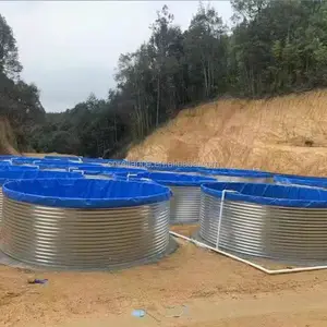 Chapa galvanizada equipamentos para chocar peixe, 8m de diâmetro, biofloc, tanque de agricultura