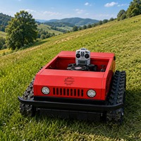 Tondeuse à gazon RC 550 mm à essence, prix usine, vente chaude, pour terrains agricoles
