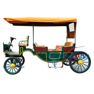 Carruaje Turístico, Carruajes Europeos Tirados por Caballos, Carroza, Carruaje de Calabaza para Bodas, Carruaje Eléctrico Tirado por Caballos - Product Image 1