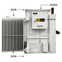 Transformateur ONAN immergé dans l'huile, scellé, grande capacité, ZGS20-L-1250kVA 22/0.4kV, enroulement en cuivre pur, pour zones rurales régionales