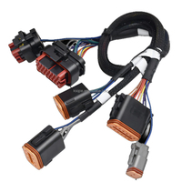 Pabrik Grosir Kustom Kit Kabel Harness Berkualitas Tinggi Produsen Universal Perakitan Kabel Otomotif