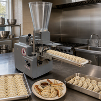 Machine à Gyoza Semi-Automatique de Table Japonaise Mini Format 110V/220V pour la Fabrication de Dumplings Frits, Momos, Samosas et Empanadas – Idéale pour les États-Unis