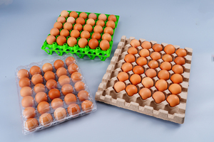 Engh-Tabla <span class=keywords><strong>de</strong></span> ardboard egradable, 30 Cells - Product Image 2