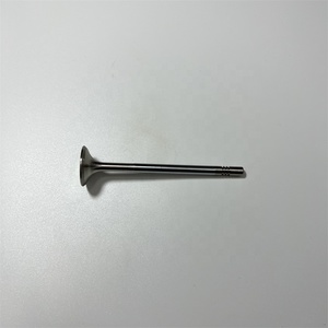 Stzt Katup Buang Masukan Mesin 6420530401 6420500527 untuk Mercedes Benz C320 C350 CLK320 CDI OM642 3.0 Diesel - Product Image 3