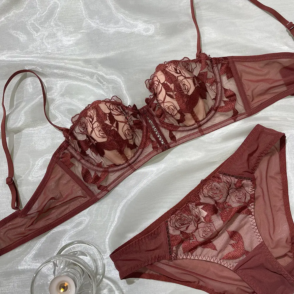 Conjunto de sujetador y bragas Sexy para mujer, lencería bordada transparente, lencería