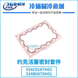 Kit de joints de piston York S4 Oil Balance 534C0187H03 534B0079H01 pour pièces de compresseur d'air de réfrigération en métal - Product Image 5