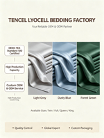 Ensemble de literie en tissu Tencel Lyocell 100% OEKO-TEX, housse de couette, drap de lit, ensemble de literie pour lit king-size