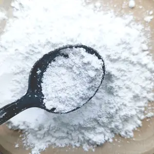 calcium carbonate particles filler de plastic powder for paint oyster shell pvc products