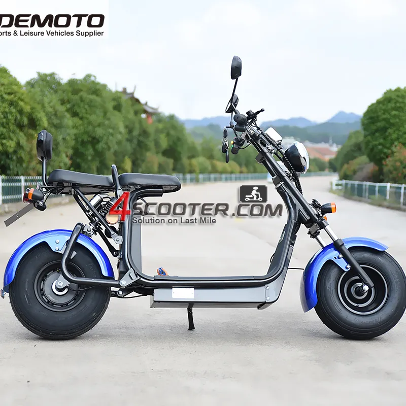 EEC APPROVED 1000w 60v electric scooter city coco mini electric scooter electric folding scooter