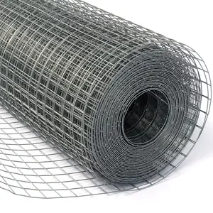Hot Dipped Galvanized Welded Iron Wire Mesh 25x25mm Mesh Hole Roll For Birds Cage And Animal Fence