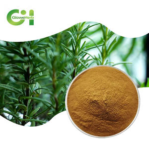 Natuurlijke Plant Rozemarijn Extract Puur Rozemarijn Blad Extract Poeder - Product Image 1