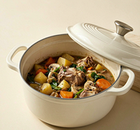 Cocotte en fonte émaillée avec couvercle, résistante au four, robuste, pour la cuisson du pain, le braisage et les ragoûts