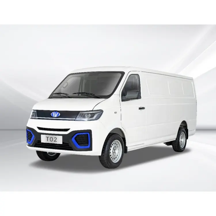 Voiture électrique Wanxiang T02 Cargo Van Transport EV LHD EU Certificate New Energy Vehicles New Car Cargo Trucks