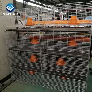 Estructura de malla de alambre de acero Jaula automática para pollos de granja avícola de alta calidad