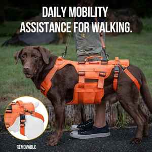 Arnés de elevación para perros grandes, material Oxford de lujo, soporte de cadera, elevador de cuerpo completo con asas, <span class=keywords><strong>Invictus</strong></span> duradero - Product Image 5