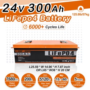 Batterie au lithium-fer-phosphate rechargeable 24V 300Ah Cloud Energy – Prix et disponibilité pour systèmes solaires - Product Image 2