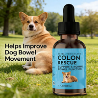 Complément nutritionnel OEM/ODM pour la santé intestinale des chiens et des chats, soutien ciblé pour le tractus gastro-intestinal inférieur
