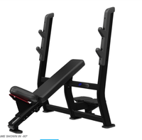 DZ8019 Nautilus Machine de musculation à charge libre, équipement de fitness, presse à banc incliné