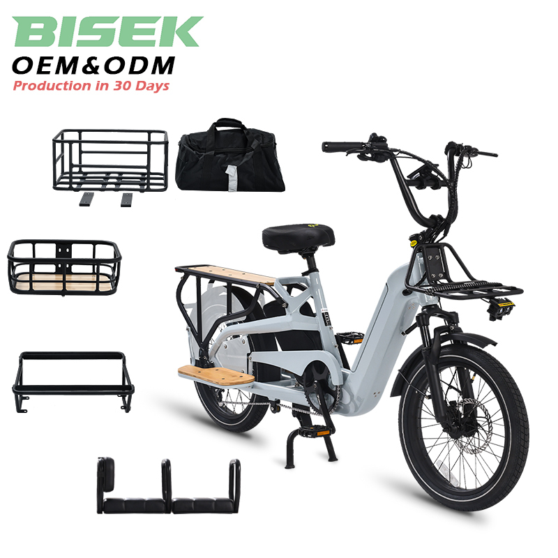 OEM Fast 500w 750w 1000w 36v
