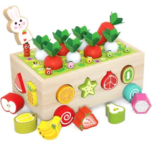 Giocattoli Montessori per 2 3 4 anni neonati maschi e femmine gioco di raccolta di carote giocattoli di smistamento di forma in legno regali per bambini piccoli