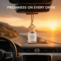 Diffuseur de parfum pour voiture avec logo personnalisé, parfum d'ambiance pour voiture, aromathérapie, parfum longue durée, vente en gros OEM pour l'intérieur des véhicules, parfum de voiture personnalisé