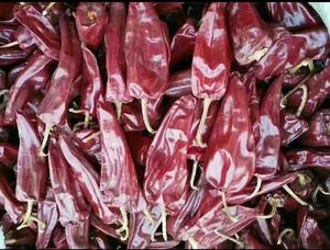 Nhà Máy giá tốt nhất Hot khô Ớt Đỏ hạt tiêu tinh khiết khô yadu Ớt từ Trung Quốc cho thị trường Châu Phi sản phẩm hàng đầu của người mua quan điểm - Product Image 4