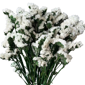 Ramo de flores secas <span class=keywords><strong>No</strong></span> me olvides Flores secas <span class=keywords><strong>para</strong></span> decoradores del hogar Decoración de la boda - Product Image 6