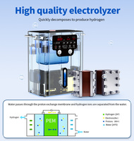 Appareil de thérapie moléculaire 3 en 1 Pem System Device 99,99% Oxygène, 1800 ml/min, générateur d'hydrogène, inhalateur