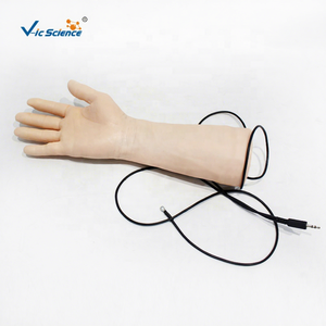 Modelo Avanzado de Venopunción Electrónica, Maniquí Inteligente para Práctica de Punción IV para Enfermeras - Product Image 1