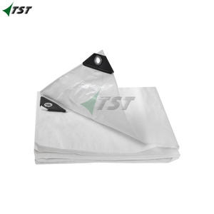 Lona Impermeable Exterior 3x3m 180g Lona de Proteccion Toldo Reforzado PE con Ojales/configurador lonas para remolque - Product Image 2