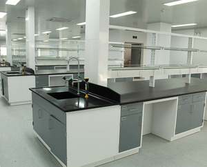 Móveis de Laboratório Personalizados em Aço Inoxidável Bancadas de Química com Pia e Suporte para Reagentes - Product Image 2