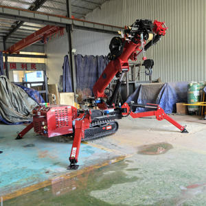 P-801 ZMT 3T 5 Ton 10 Ton diesel Mini <span class=keywords><strong>Spider</strong></span> Crane beton dengan Remote Auger Man keranjang mengangkat Pria - Product Image 2
