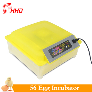 <span class=keywords><strong>Howard</strong></span> manufactory-incubadora de huevos, bandejas de agua, 12v, 220v - Product Image 6