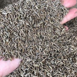 Semillas <span class=keywords><strong>de</strong></span> Comino Orgánico a Precio <span class=keywords><strong>de</strong></span> Fábrica - Product Image 2