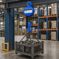 Palans à chaîne manuels HSZ 2 tonnes, capacité de levage 3m, palan à chaîne manuel industriel robuste pour atelier et usine