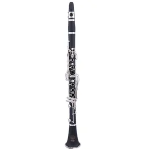 Strumento musicale clarinetto turco con custodia per clarinetto