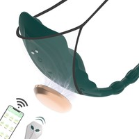 Honey Love Tragbares Frauen-Sexspielzeug - 9-Gang-Vibration Kabellose Fernbedienung via App USB Magnetisches Aufladen Modell LX-0238