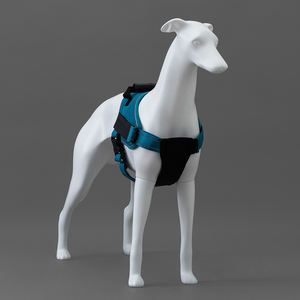 Оптовая продажа, белая борзая, модель для домашних животных, одежда для домашних животных, манекен для демонстрации собак большого размера - Product Image 6