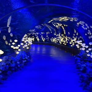 Lớn dày tấm kính Acrylic Bảng điều chỉnh rõ ràng Acrylic cho hồ cá bể cá đường hầm hồ cá - Product Image 6