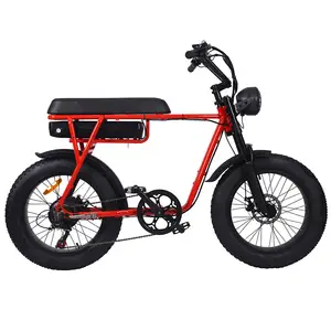 Fat ebike alicate elétrico de vlo e 20 polegadas, bicicleta elétrica com duas rodas, 1000w e 2 pessoas, bicicleta gorda