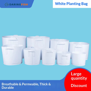 DaringFish Bolsas de Cultivo Blancas de Tela No Tejida Gruesa con Asas, Venta al por Mayor para Jardinería Doméstica y Producción de Viveros de Flores - Product Image 5
