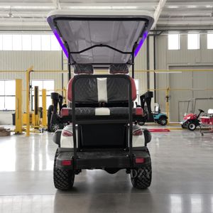 <span class=keywords><strong>Vente</strong></span> Directe d'Usine de Voiturettes de Golf Électriques Certifiées DOT, Véhicules de Chasse, et Chariots de Tourisme Poussés à Énergie Solaire sur Mesure - Product Image 6