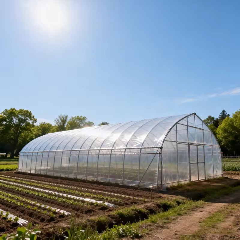 High Quality Garden Greenhouse with Inside