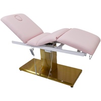 Mode Spa électrique or, Acupuncture, tatouage, thérapie du corps, ventouses, pédicure, lit de beauté, Table de Massage