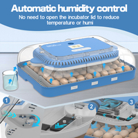WONEGG Contrôle automatique de l'humidité Élément chauffant pour incubateur d'œufs commercial 70 à double puissance