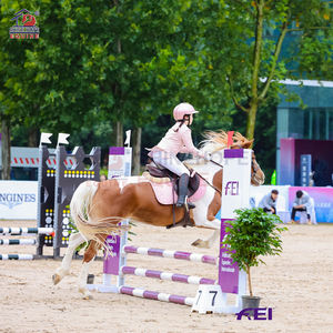 Ensemble d'obstacles <span class=keywords><strong>de</strong></span> saut pour chevaux portables pour les arènes intérieures et extérieures, pour la <span class=keywords><strong>pratique</strong></span> du saut d'obstacles - Product Image 1